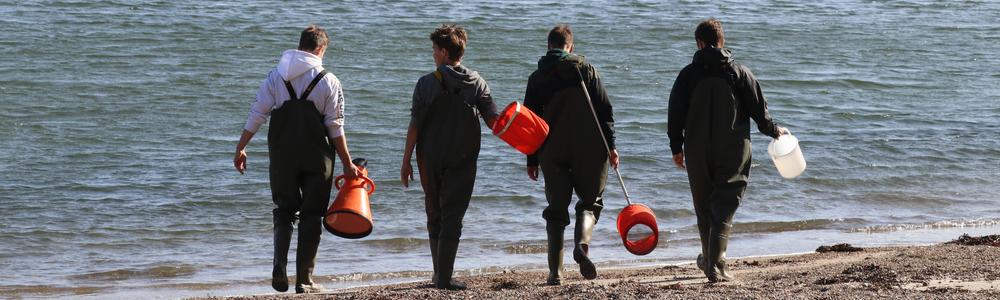Fyra gymnasielever med utrustning på väg ut på grund sandbotten