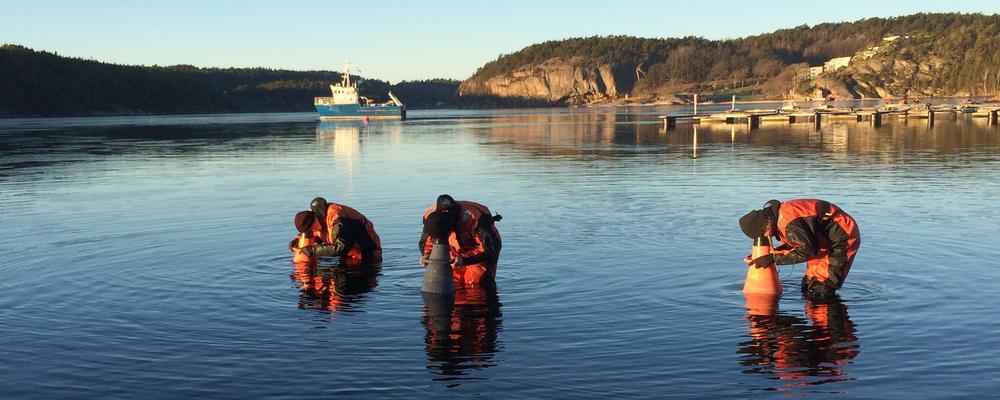 Three university students walking in shallow water with rescue suits and aquascopes