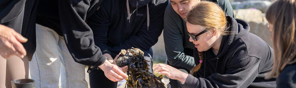 Studenter på grundlärarprogrammet vid havet under kursen utomhuspedagogik.