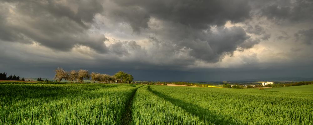 bild på storm