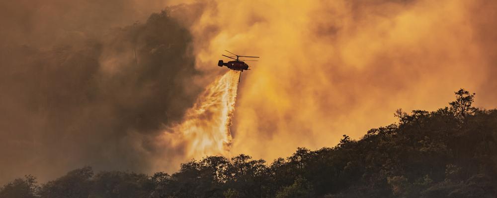 Helikopter bekämpar skogsbrand