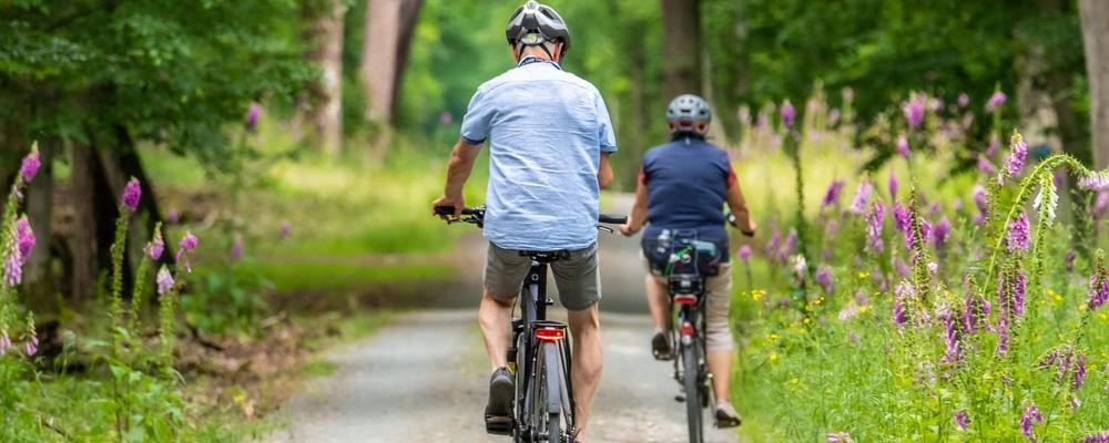 Bilden visar två äldre personer som cyklar tillsammans på en väg på sommaren.