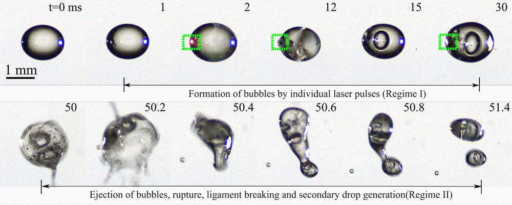 Pictures of the formation of bubbles within droplets of biodiesel