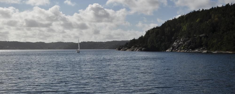 Bild på Gullmarsfjorden med en segelbåt i fjärran