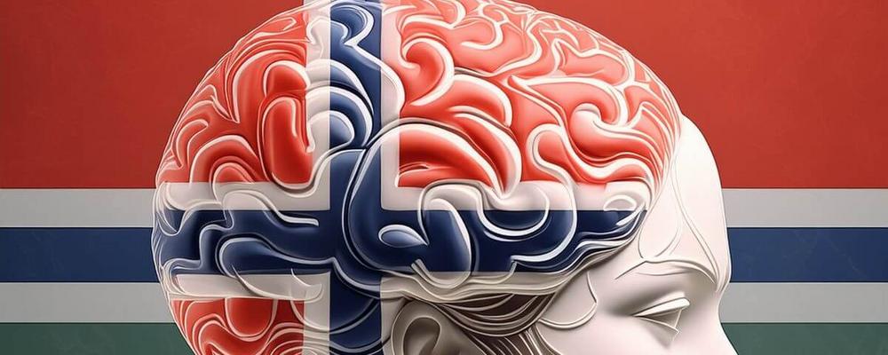 Brain with Norwegian flag colours and flag