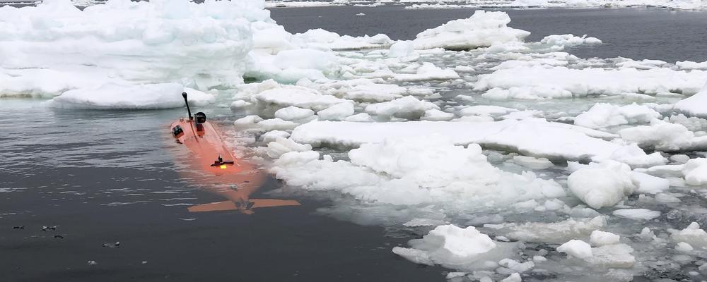 Picture of the submersible vehicle Ran