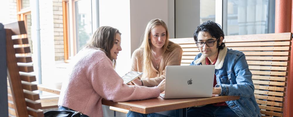 några studenter som pluggar tillsammans