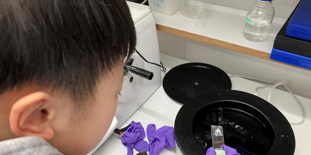 A child using a microscope