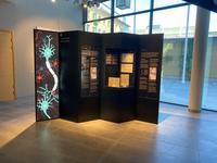 A showcase about the brain's important signaling substances.