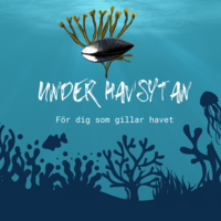 Podden: Under havsytan 