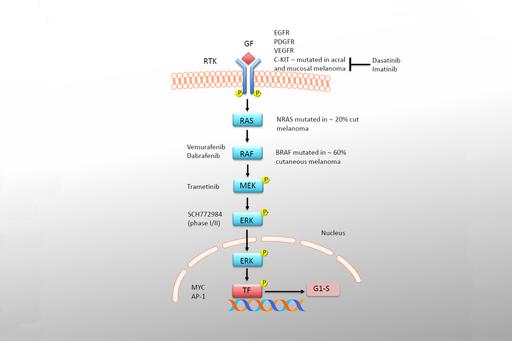 Figure 1 - research in genetics of melanoma
