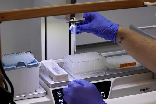 Gloved hands adjusting pipettes in a pipetting robot."