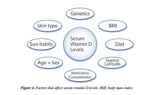 Faktorer som kan påverka vitamin D nivåer i blodet och som det har tagits hänsyn till i denna avhandling. Figur 4 på sidan 15 i 