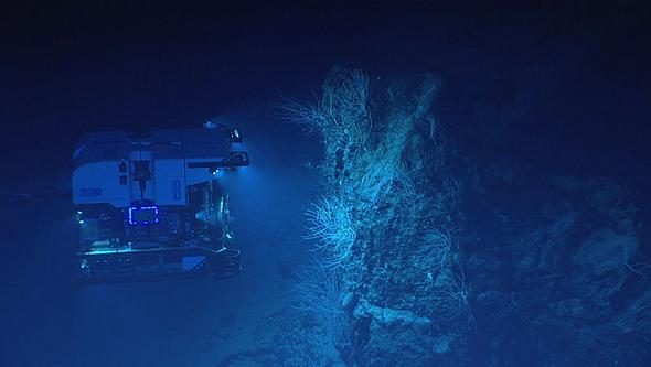 En fjärrstyrd undervattensfarkost lyser upp havsbottnen.