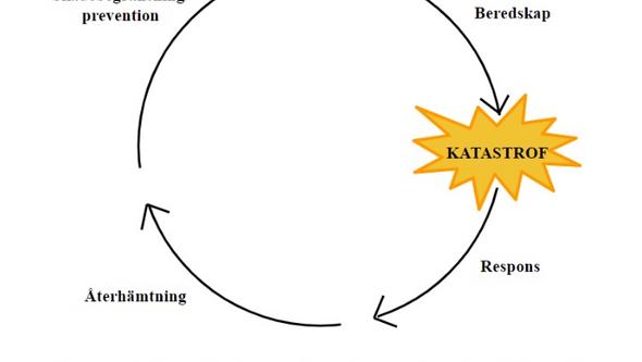 Figure 1. The disaster management cycle. Customization by Ciottone (4)