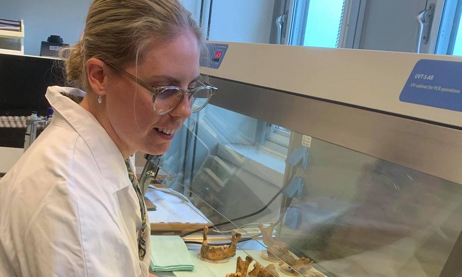 Carolina Bertilsson arbetar i lab med vikingatänder