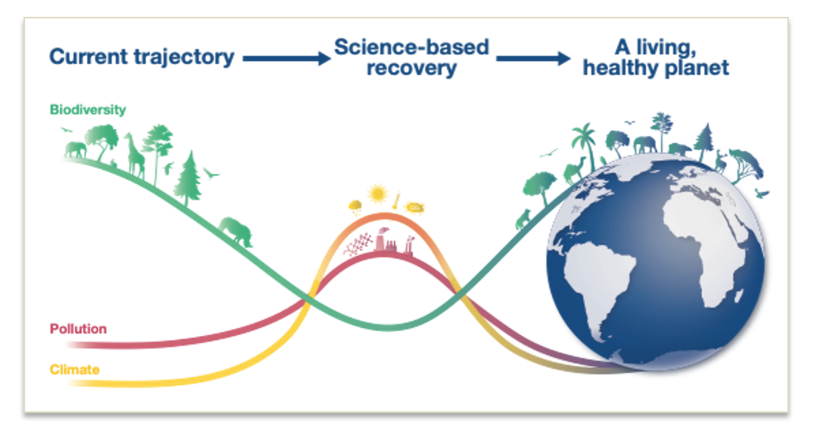 An Earth system science approach to the “triple planetary crisis”: biodiversity, climate, and pollution